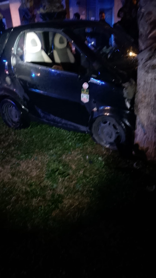 Anziana investita fuori dalla chiesa, Smart contro palma e auto si sfrena sulla SS16